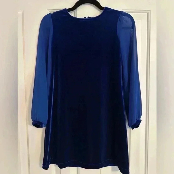 FLORENCE EISEMAN Girls Stretch Velvet Dress w/ Chiffon Sleeves - Picture 1 of 8